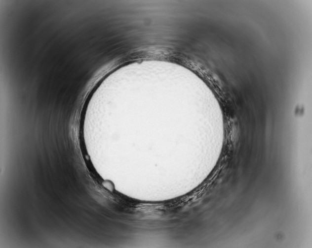 X0000103930051200810101402