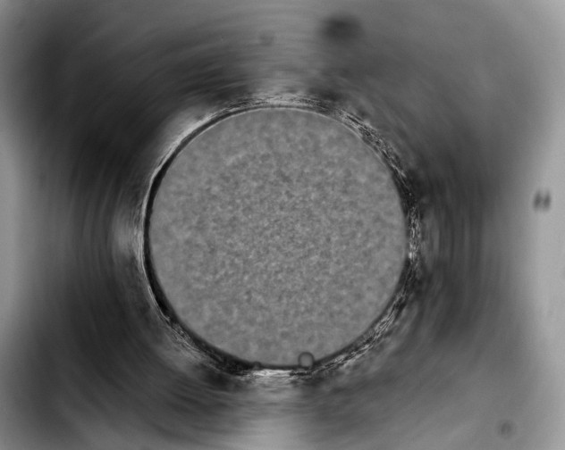 X0000103930052200810101402