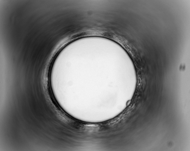 X0000103930053200810101402