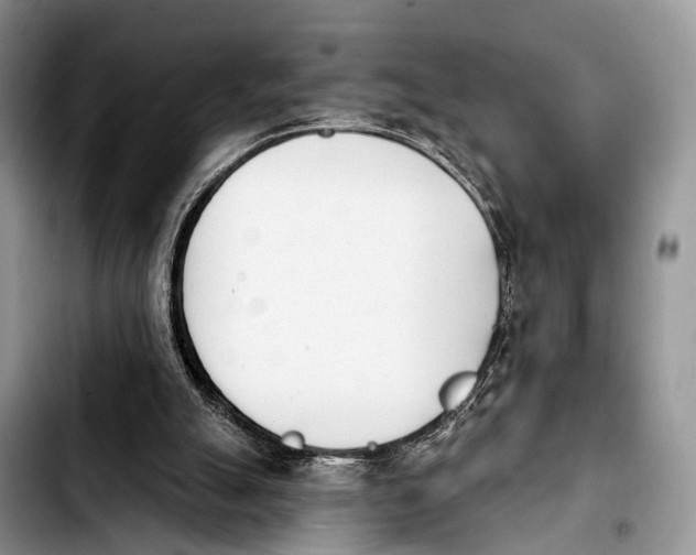 X0000103930055200810101403