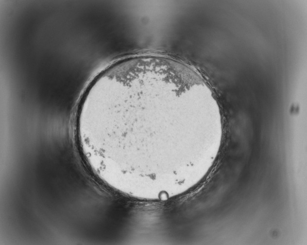 X0000103930056200810101403