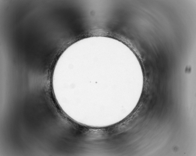 X0000103930057200810101403