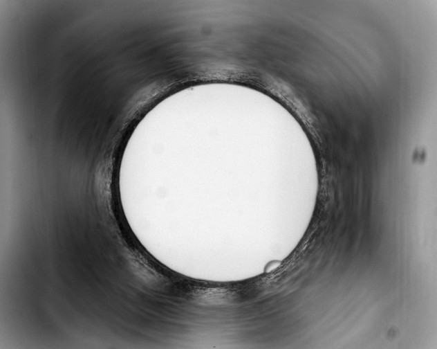 X0000103930058200810101403