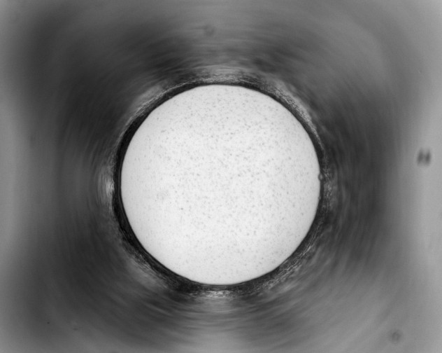 X0000103930059200810101403