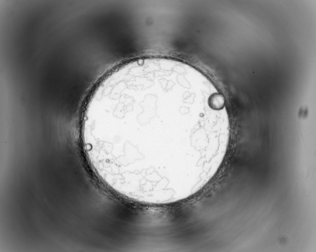 X0000103930060200810101403