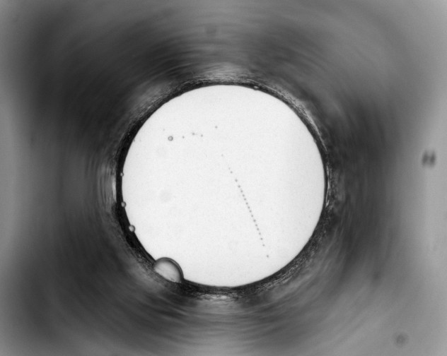 X0000103930061200810101403