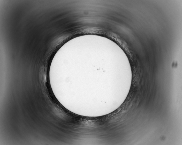 X0000103930062200810101403