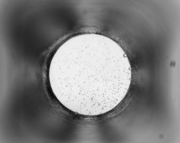 X0000103930064200810101403