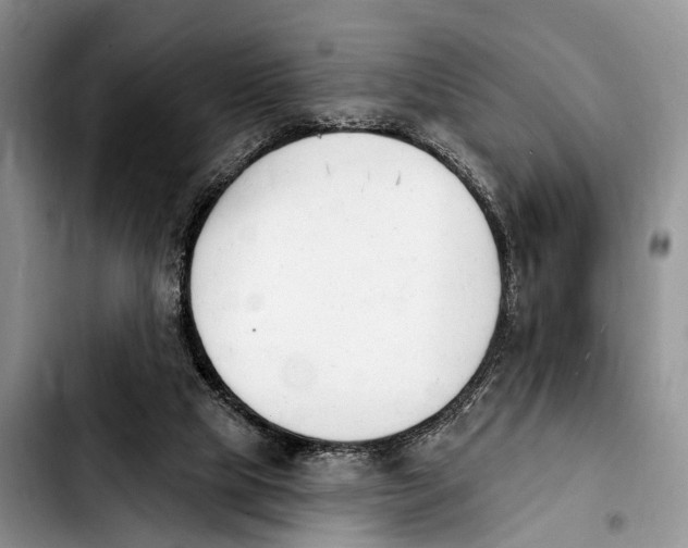 X0000103930065200810101403