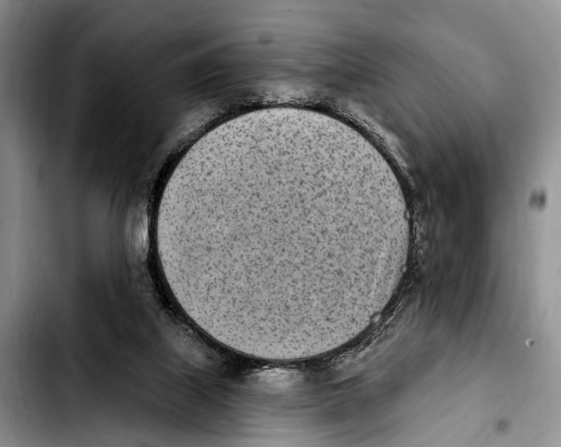 X0000103930067200810101403