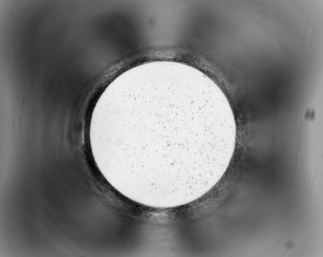 X0000103930068200810101403