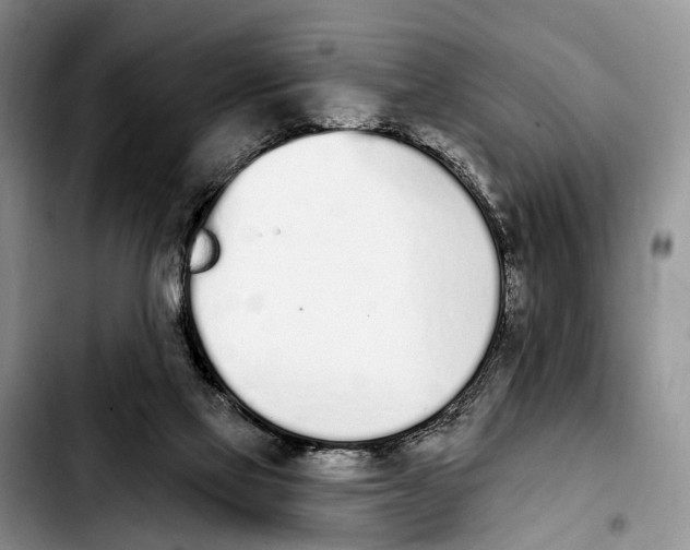 X0000103930069200810101403