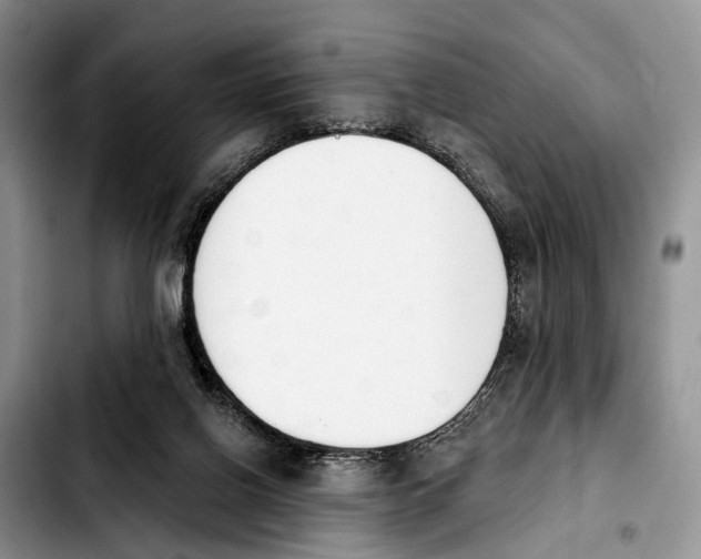 X0000103930070200810101403