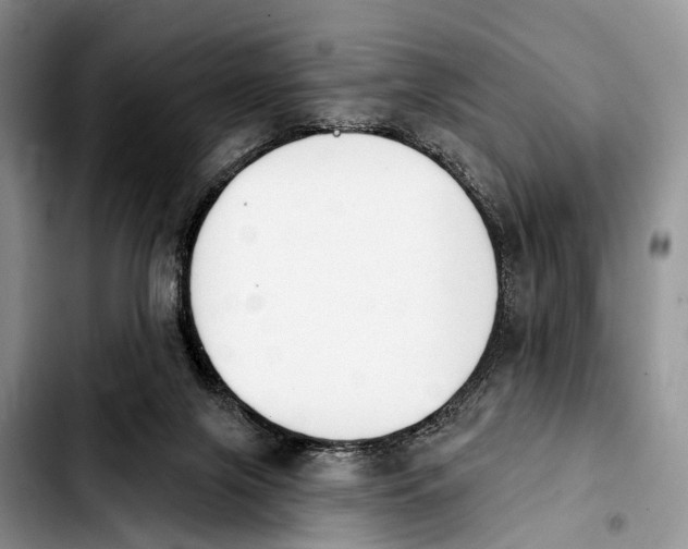 X0000103930071200810101403