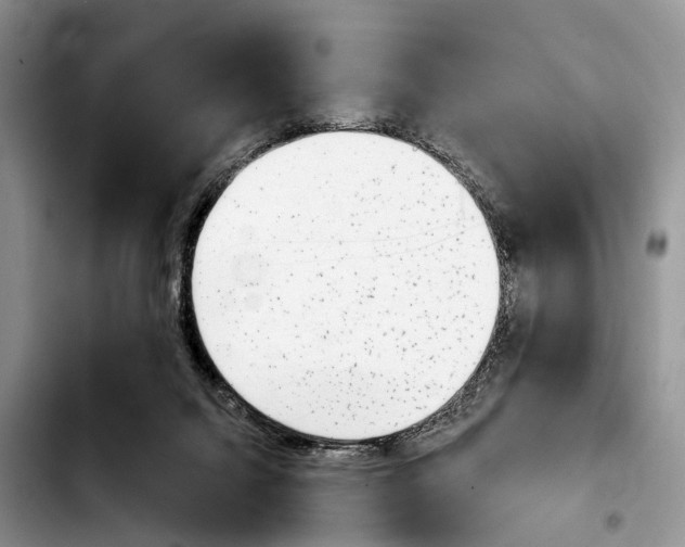 X0000103930072200810101403