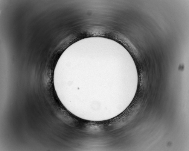 X0000103930073200810101403