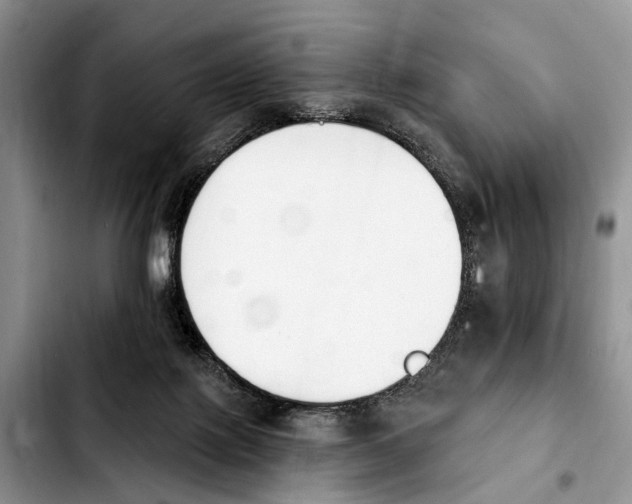 X0000103930075200810101403