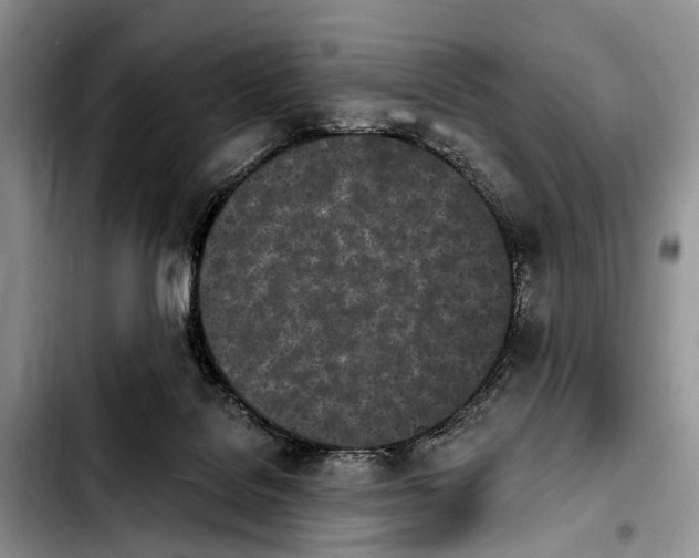 X0000103930076200810101403