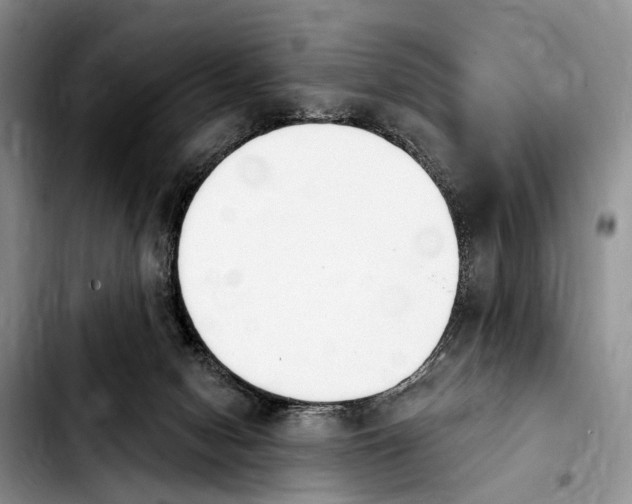 X0000103930078200810101403