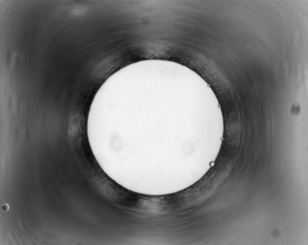 X0000103930079200810101403