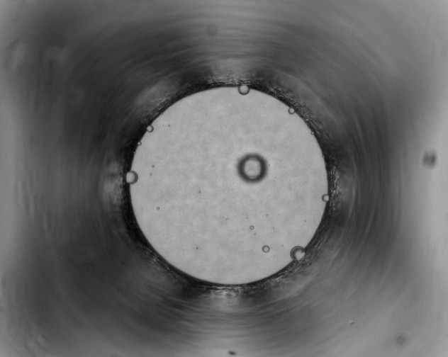 X0000103930080200810101403