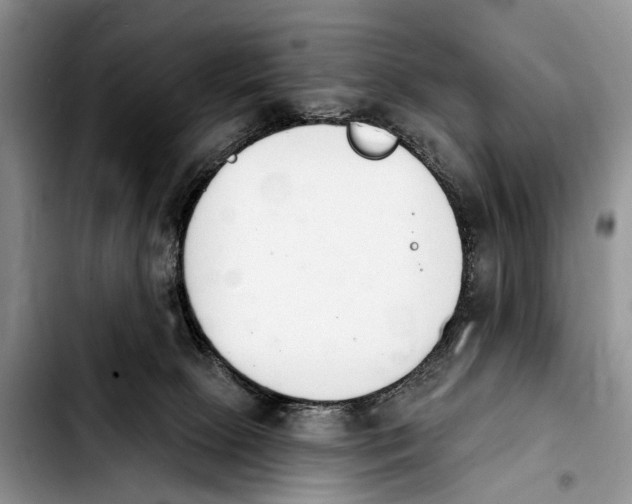 X0000103930081200810101403