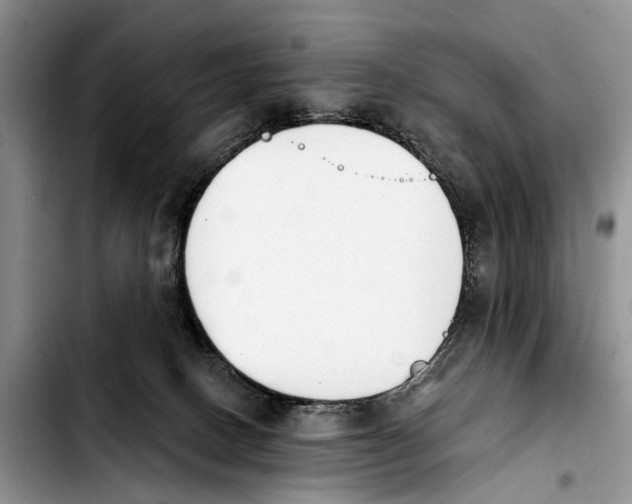 X0000103930082200810101403