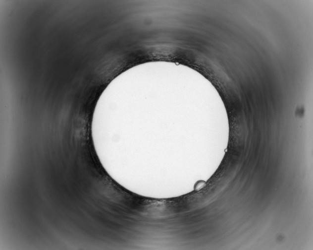 X0000103930083200810101403