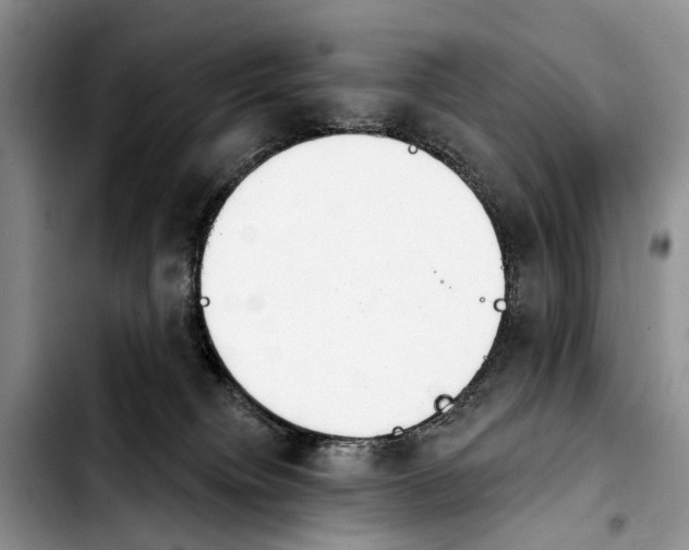 X0000103930084200810101403