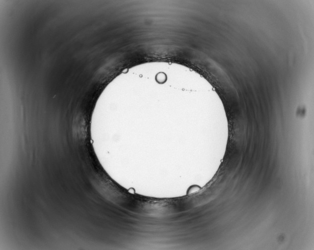 X0000103930086200810101403