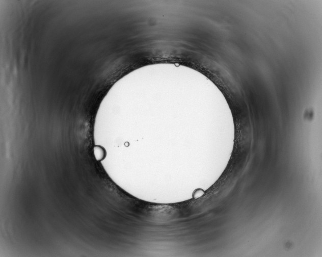 X0000103930087200810101403