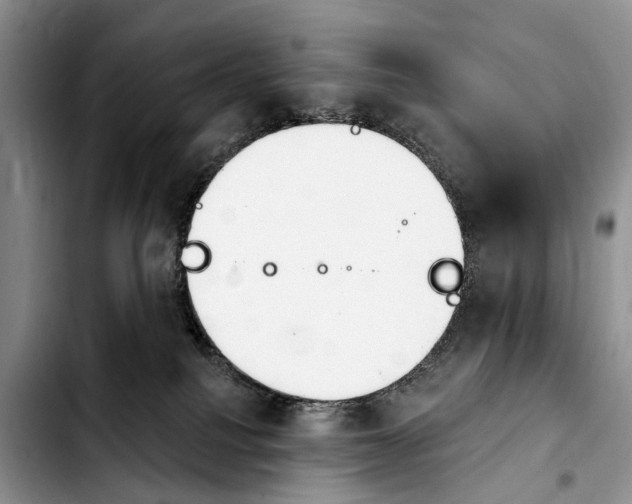 X0000103930088200810101403