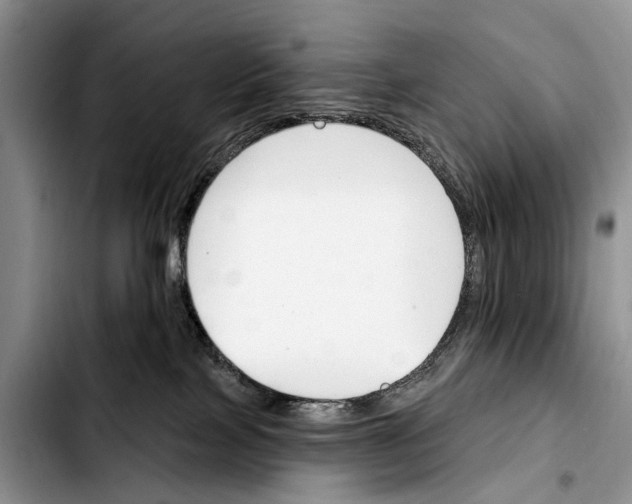 X0000103930089200810101403