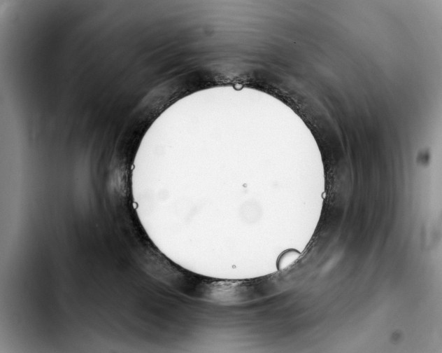 X0000103930090200810101403