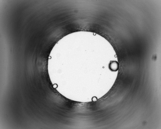 X0000103930092200810101403