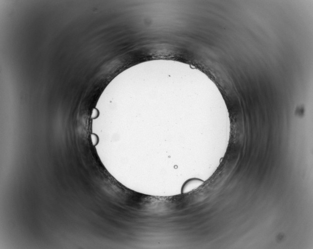 X0000103930093200810101403