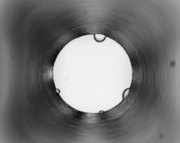 X0000103930095200810101403