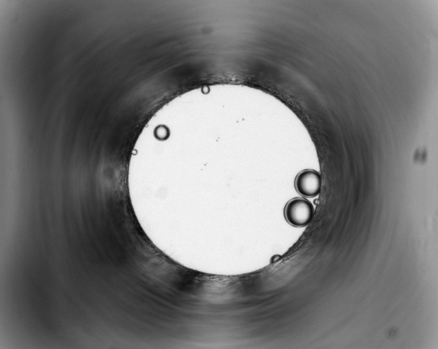 X0000103930096200810101403