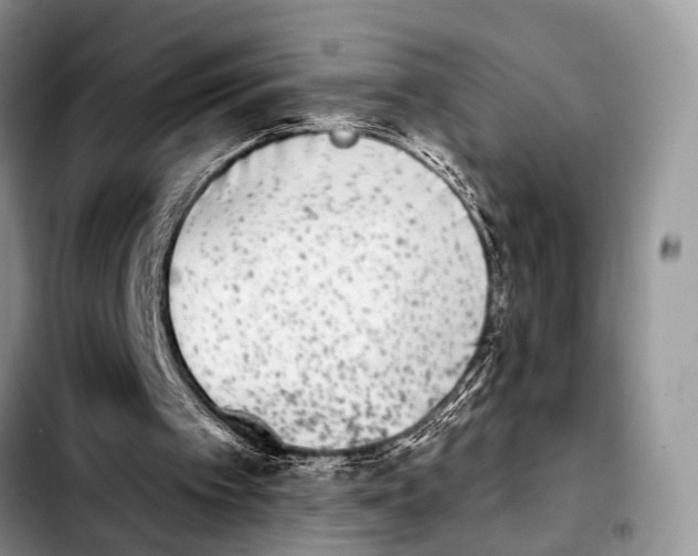 X0000103930097200810101402