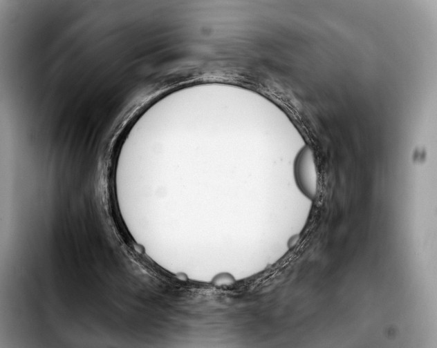 X0000103930098200810101402