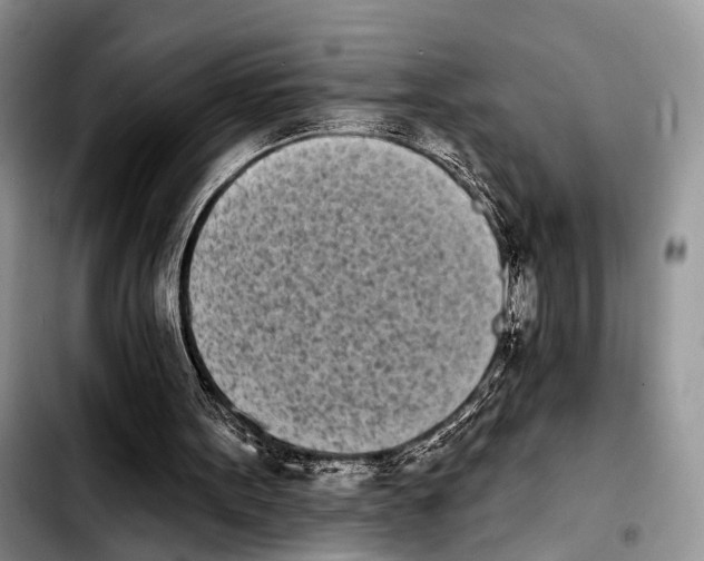 X0000103930099200810101402