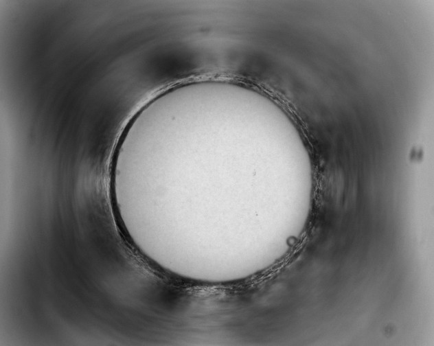 X0000103930100200810101402