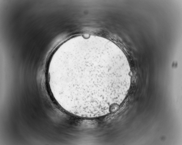 X0000103930101200810101402