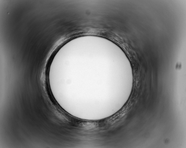 X0000103930102200810101402