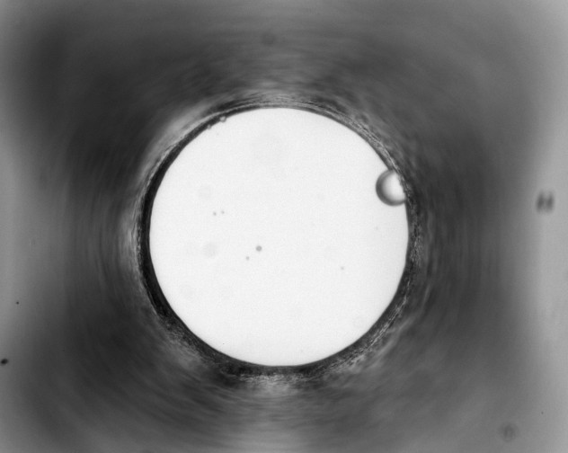 X0000103930103200810101402