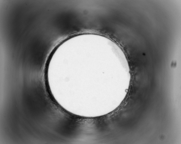 X0000103930104200810101402