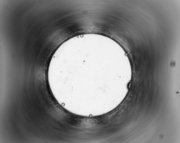 X0000103930105200810101402