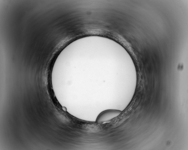 X0000103930106200810101402