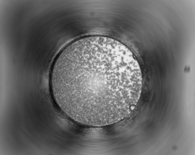 X0000103930108200810101402