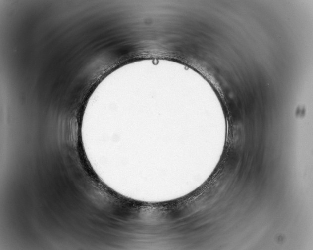 X0000103930109200810101402